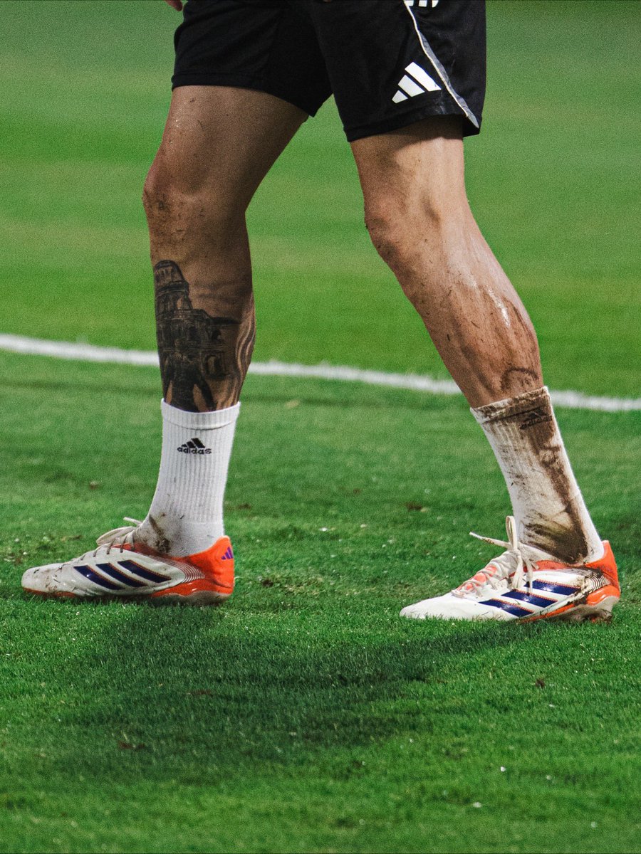 عالم إيبانيز 🇧🇷 tweet media