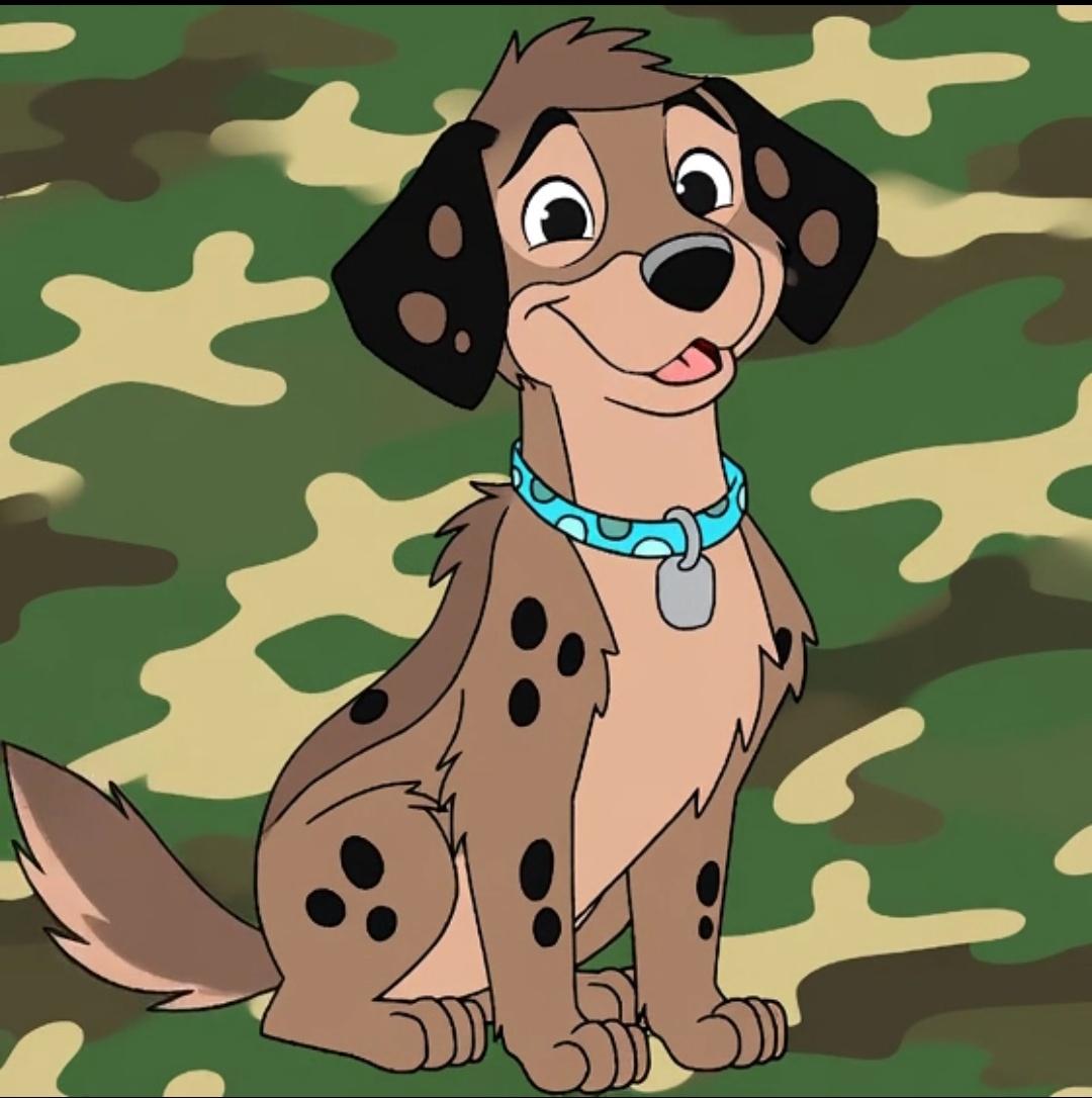 Sawyerpup249's tweet image. Hey eveyone my names Sawyer