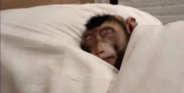 Reading harder is also another way of making people who invented remakes become broke🤤.
Good night if you want.