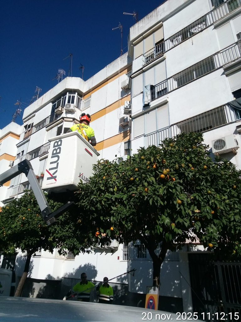 Continúan los servicios de Parques y Jardines con los trabajos de conservación. 🌳

Desde el <a href="/DtoMacarena/">Distrito Macarena (Sevilla)</a>, vamos a seguir trabajando para mantener en buen estado nuestras zonas verdes y espacios públicos.