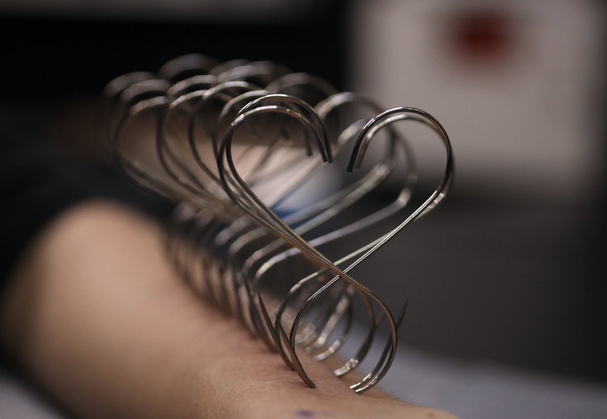 flesh connoisseur ⚧️ tweet media