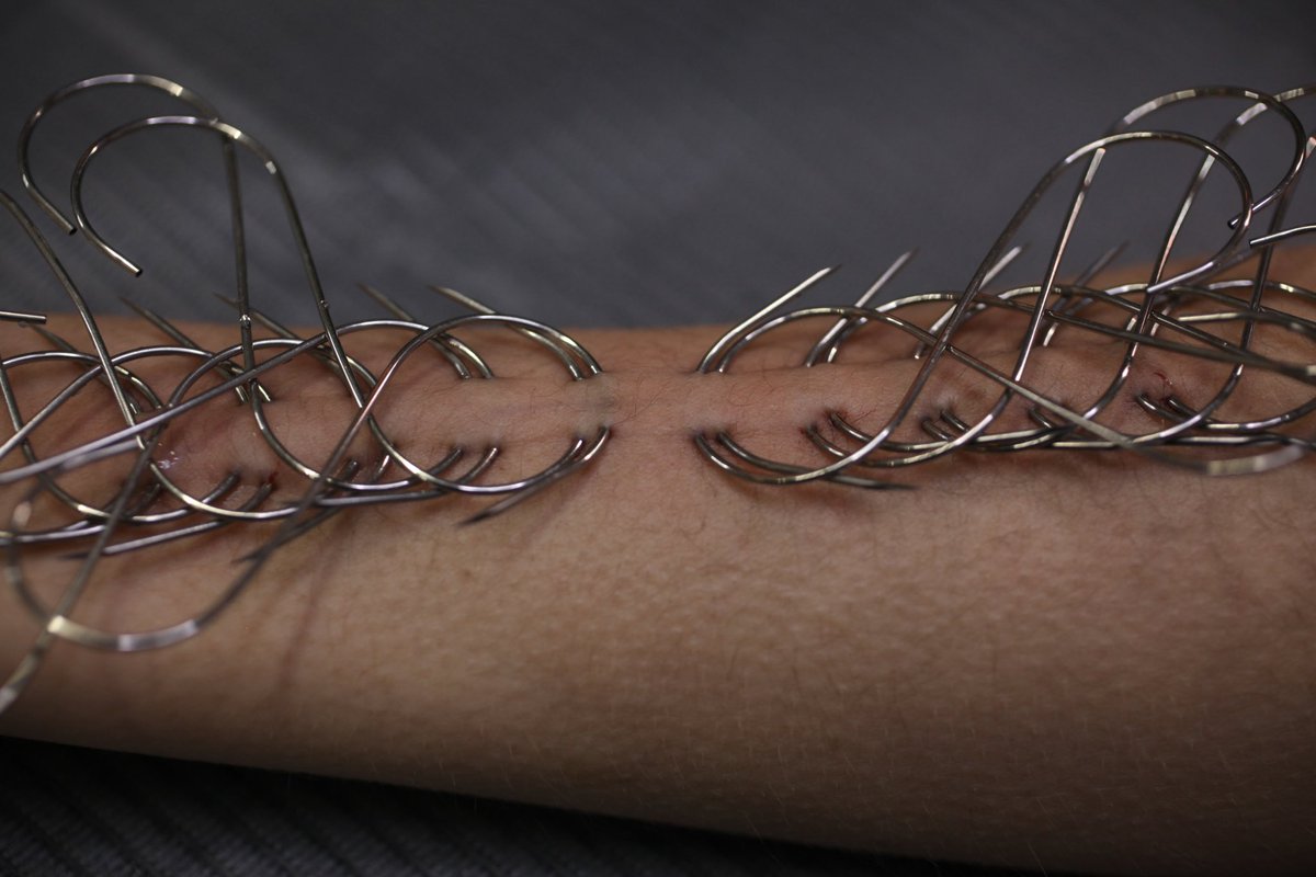 flesh connoisseur ⚧️ tweet media