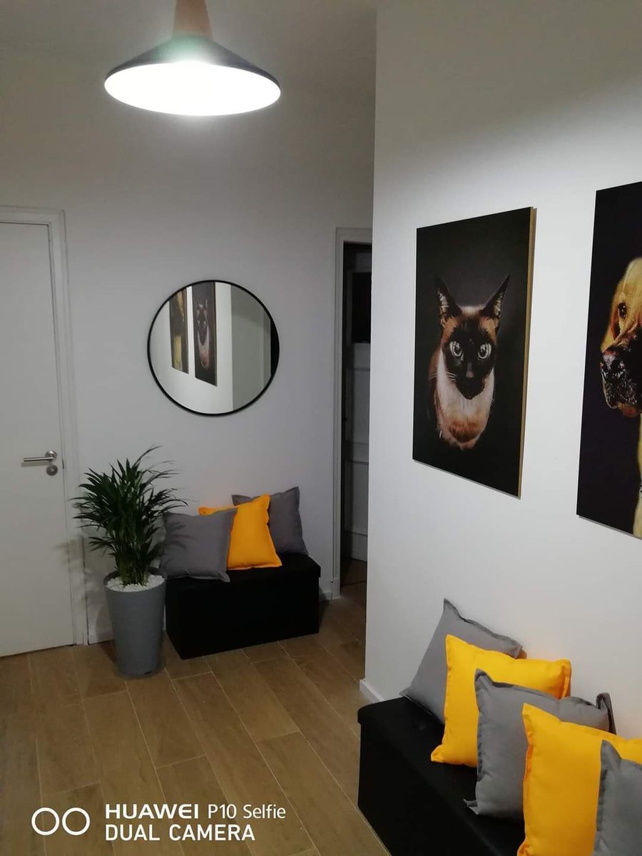 Reformas y reciclajes en general wasap 094775615
Estamos a pasitos de las fiestas aprovechen a realizar los arreglos que quiere .
Si pueden compartir y seguirme se los agradezco