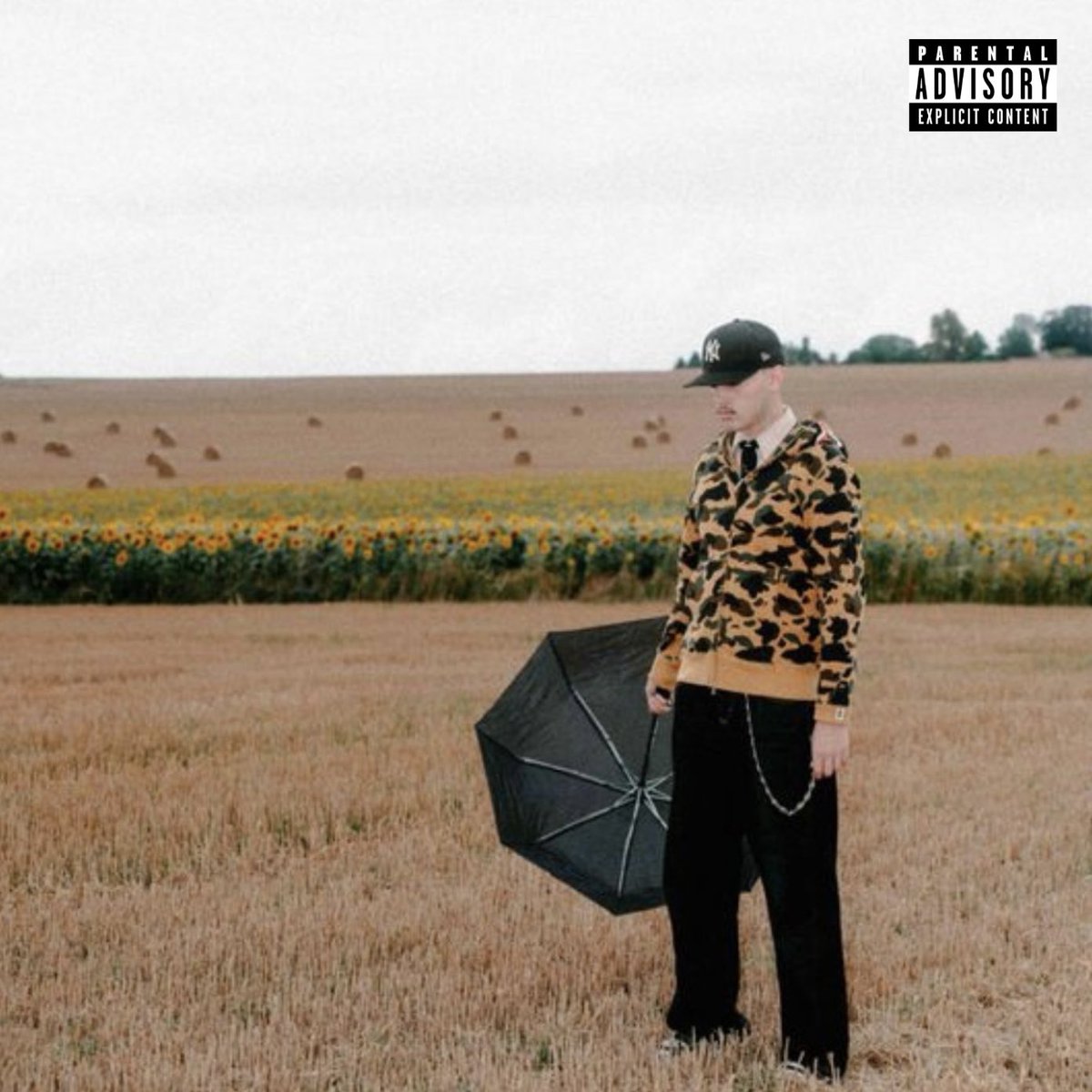 naniparledamour's tweet photo. « Dernière Danse » disponible sur toutes les plateformes à minuit ! https://t.co/F52ZBkMjbq