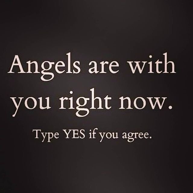 Manifest Your Dream Life✨ tweet media