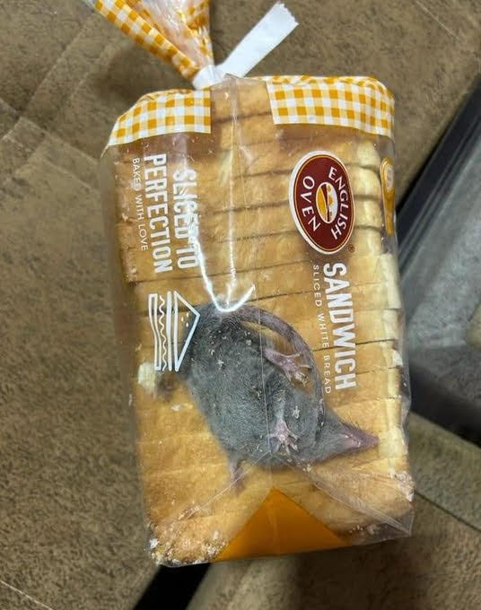 MikuNerdola's tweet image. Pão de forma com brinde dentro kkkkkkkkkkkkkkkk