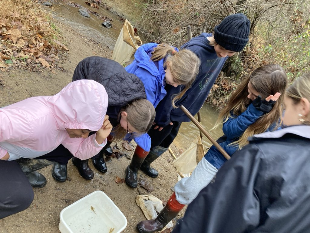 CCPS_ODS's tweet image. NCMS week 4: orange group collected data to determine if the stream is healthy #ODSchangetheworld