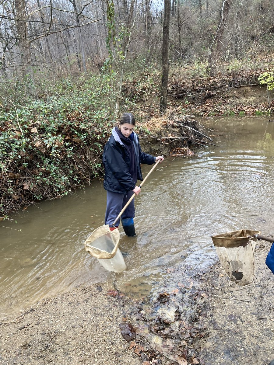 CCPS_ODS's tweet image. NCMS week 4: orange group collected data to determine if the stream is healthy #ODSchangetheworld