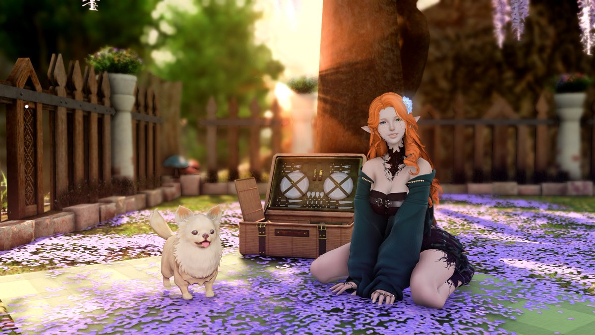 there you are! we waited for you (˶ᵔ ᵕ ᵔ˶)