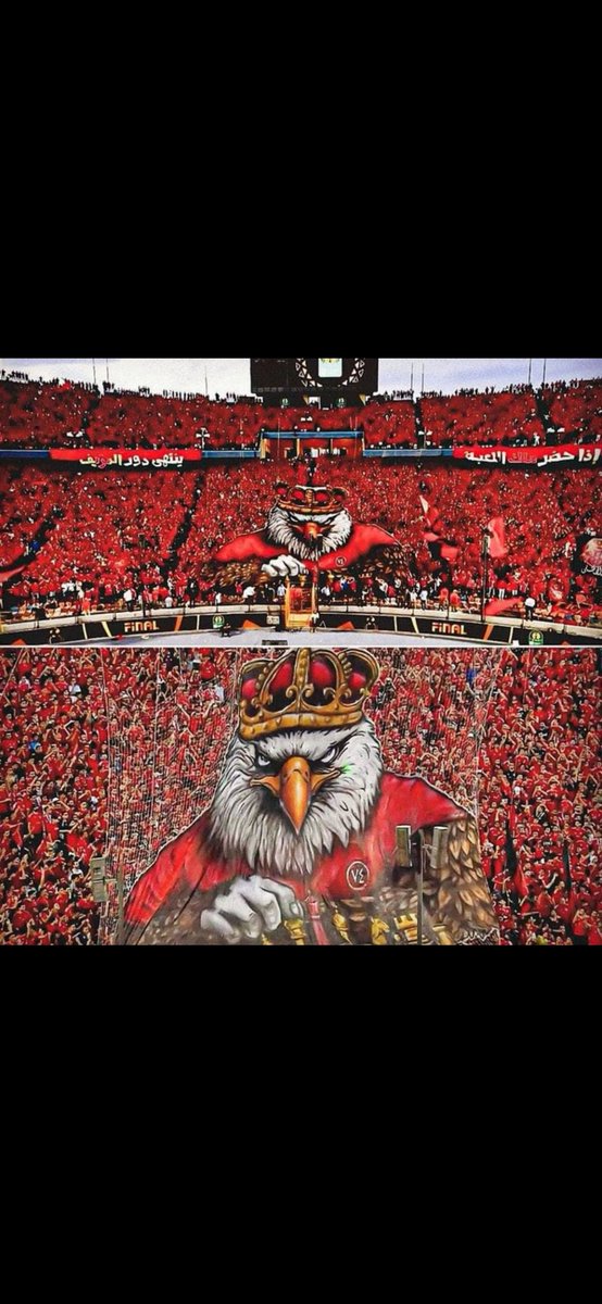 جمهورك فى ضهرك يا اهلى 🦅🦅

#نبدا_المشوار_افريقيا_ياابطال