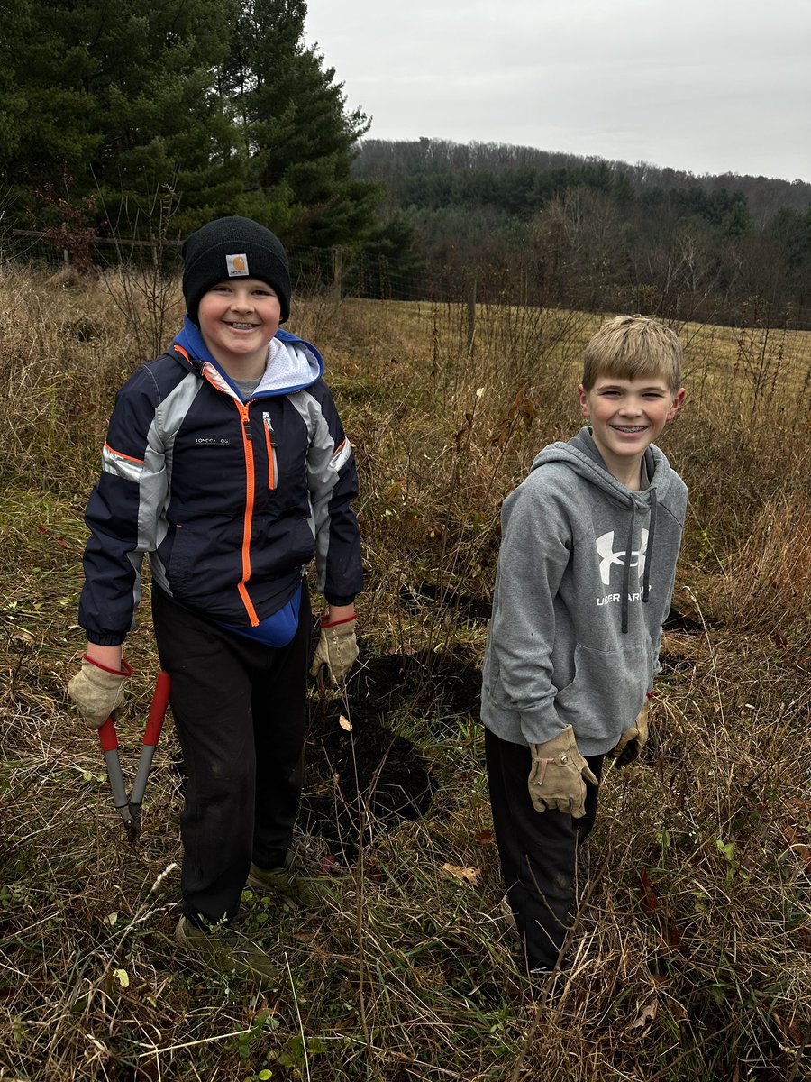 CCPS_ODS's tweet image. NCMS week 4: purple &amp;amp; blue groups helped save trees by removing weeds &amp;amp; adding mulch. #ODSchangetheworld