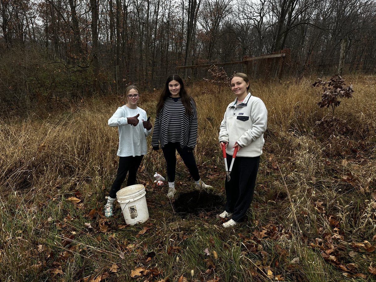 CCPS_ODS's tweet image. NCMS week 4: purple &amp;amp; blue groups helped save trees by removing weeds &amp;amp; adding mulch. #ODSchangetheworld