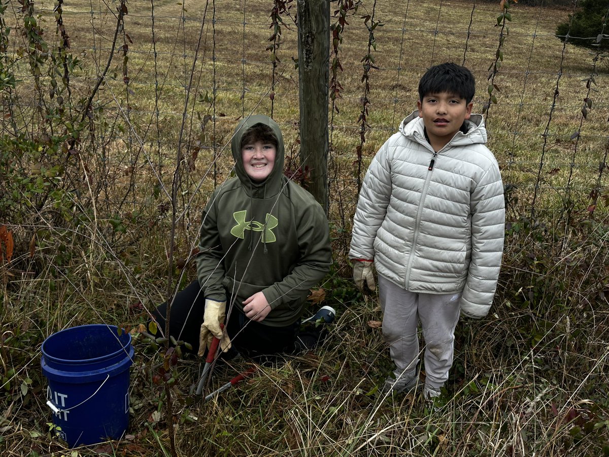 CCPS_ODS's tweet image. NCMS week 4: purple &amp;amp; blue groups helped save trees by removing weeds &amp;amp; adding mulch. #ODSchangetheworld