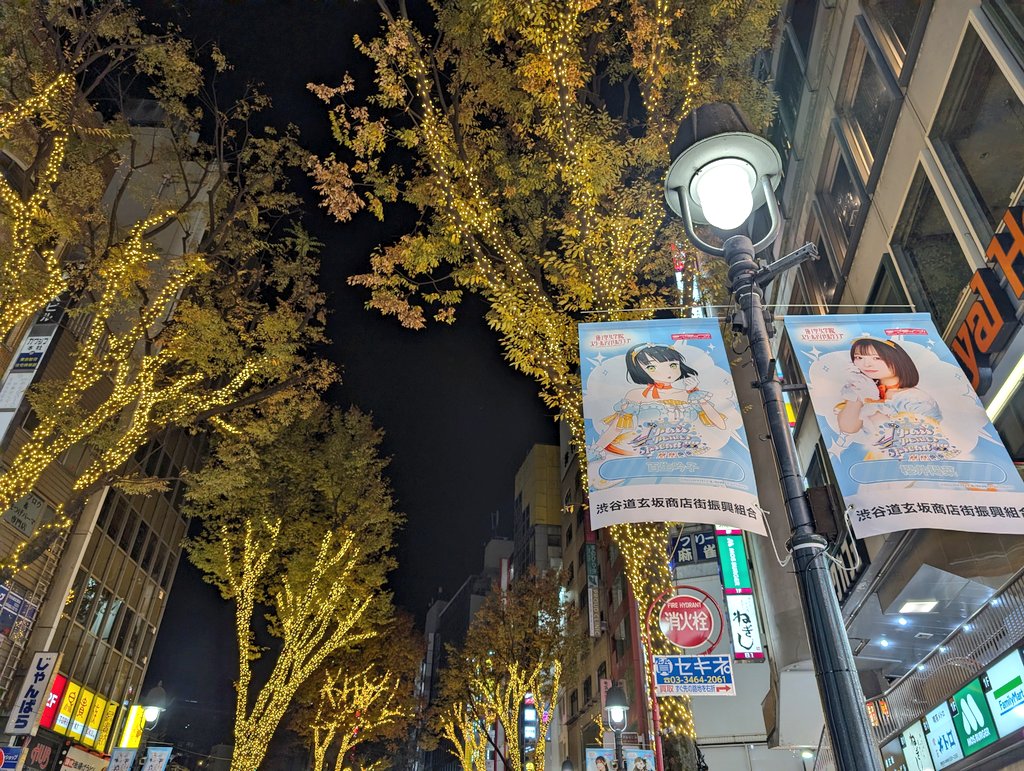 hasu_allegro's tweet image. イルミネーションが点灯しました！
綺麗な、夜だね…
