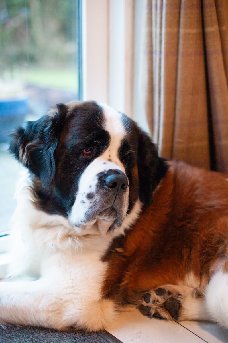 Marie McKenna tweet media