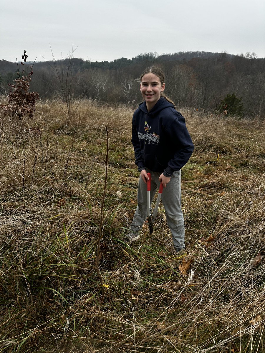 CCPS_ODS's tweet image. NCMS week 4: purple &amp;amp; blue groups helped save trees by removing weeds &amp;amp; adding mulch. #ODSchangetheworld