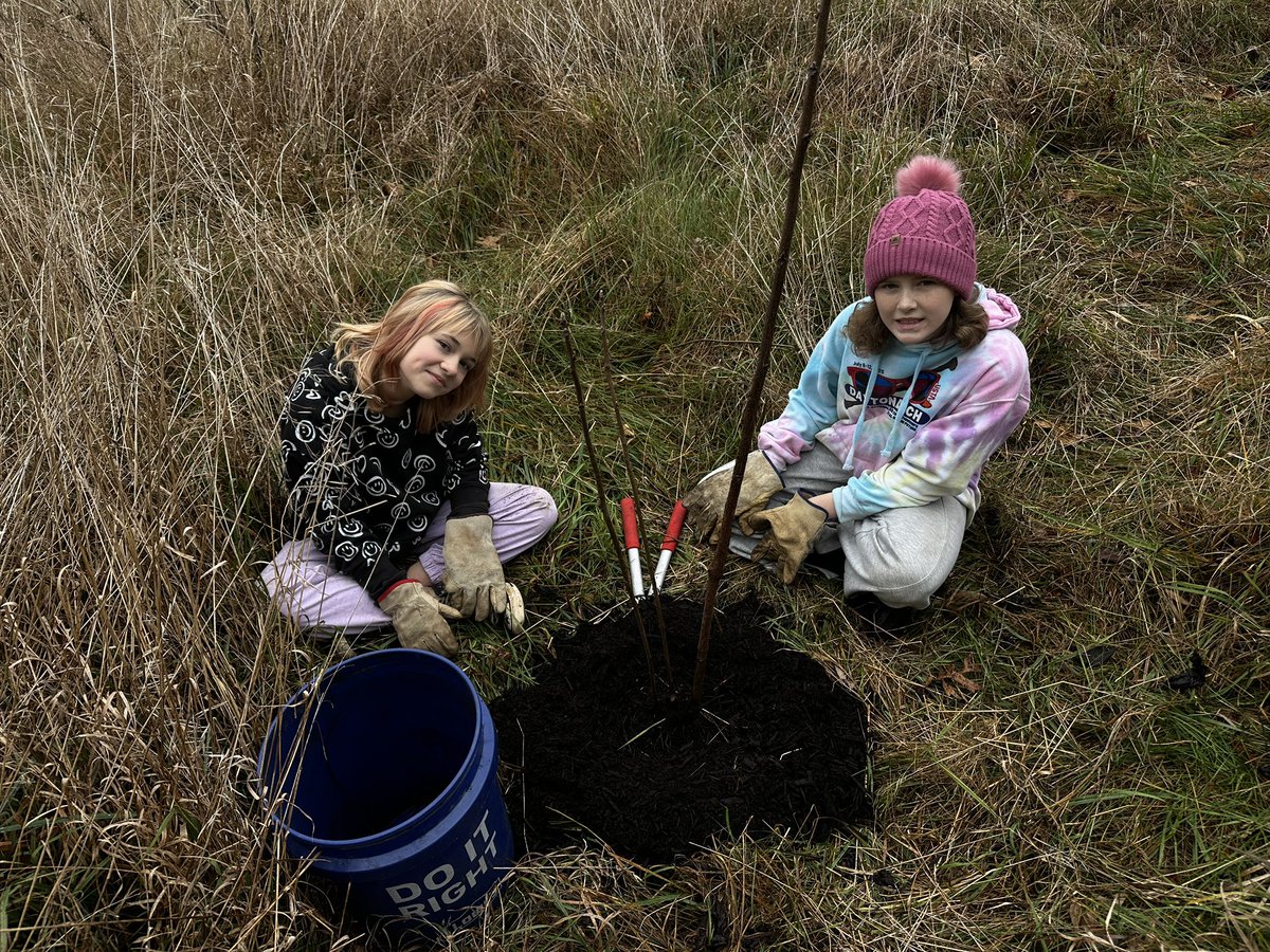 CCPS_ODS's tweet image. NCMS week 4: purple &amp;amp; blue groups helped save trees by removing weeds &amp;amp; adding mulch. #ODSchangetheworld