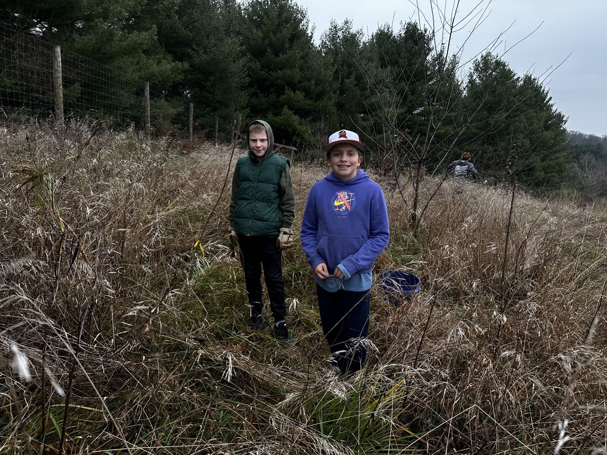 CCPS_ODS's tweet image. NCMS week 4: purple &amp;amp; blue groups helped save trees by removing weeds &amp;amp; adding mulch. #ODSchangetheworld