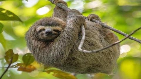 JasmineXuereb's tweet image. Spring break is the perfect opportunity for families to reconnect, visit new places and create lasting memories. Whether you’re dreaming of sandy beaches, snowy mountains, bustling cities or cultural adventures, the options are near tinybfs.com/t/wqXLKV