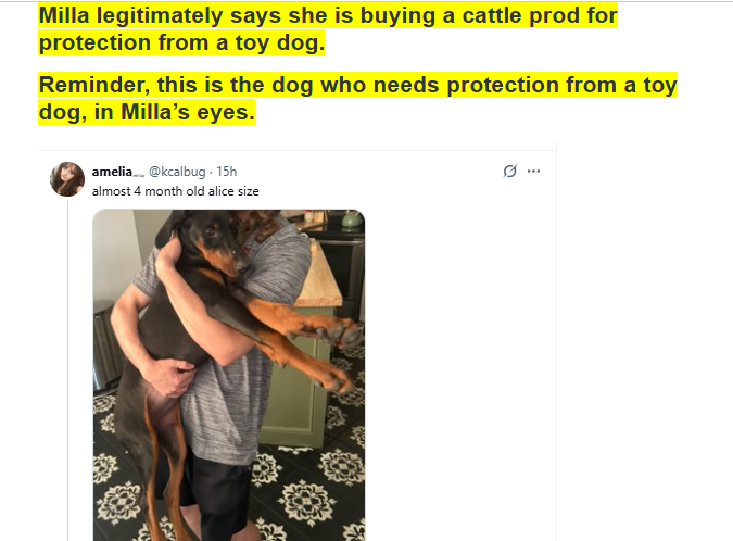 Kcalbug Abuses Animals tweet media