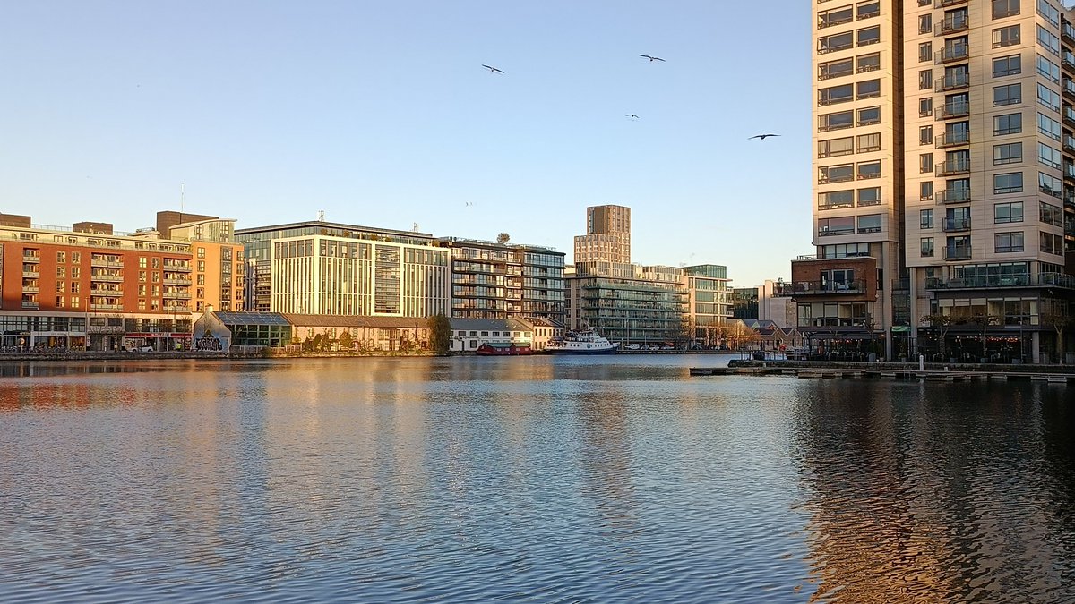 Alexander Yarkin tweet media