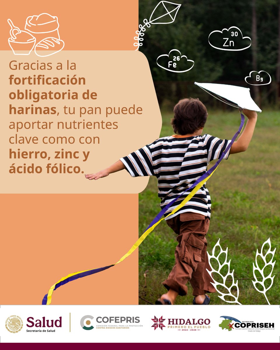coprisehgo's tweet image. La ingesta de harinas fortificadas previene problemas prenatales en los bebés, trastornos en el desarrollo y favorece el crecimiento en niños y adolescentes.
HarinasFortificadas #FortificaciónDeHarinas #NutrientesEsenciales #BienestarNutricional 
#PrimeroElPueblo  #PrimeroTuSalud