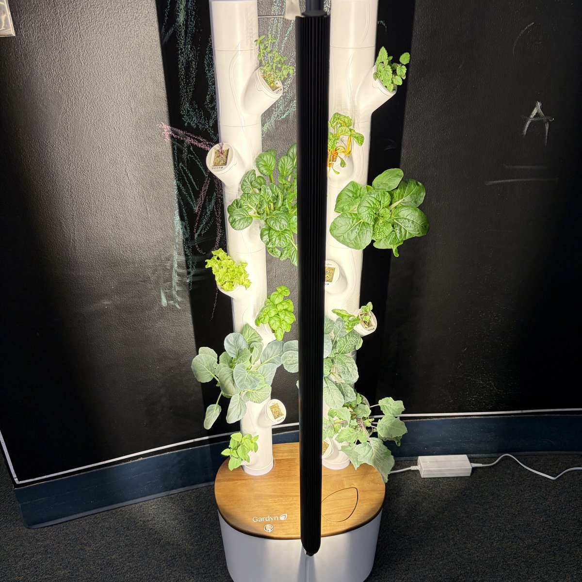 LUFSD_Libraries's tweet image. Adventures abound in the MS library! We've got Mrs. Frizzle, our new fish Dewey, William Rall's 5th Grade Galaxy, and a flourishing Gardyn. @LindenhurstUFSD #LUFSD