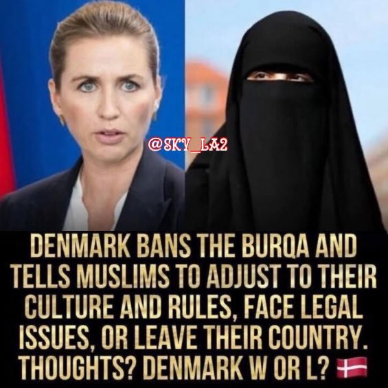 Sky_La2's tweet image. This needs to happen in America‼️