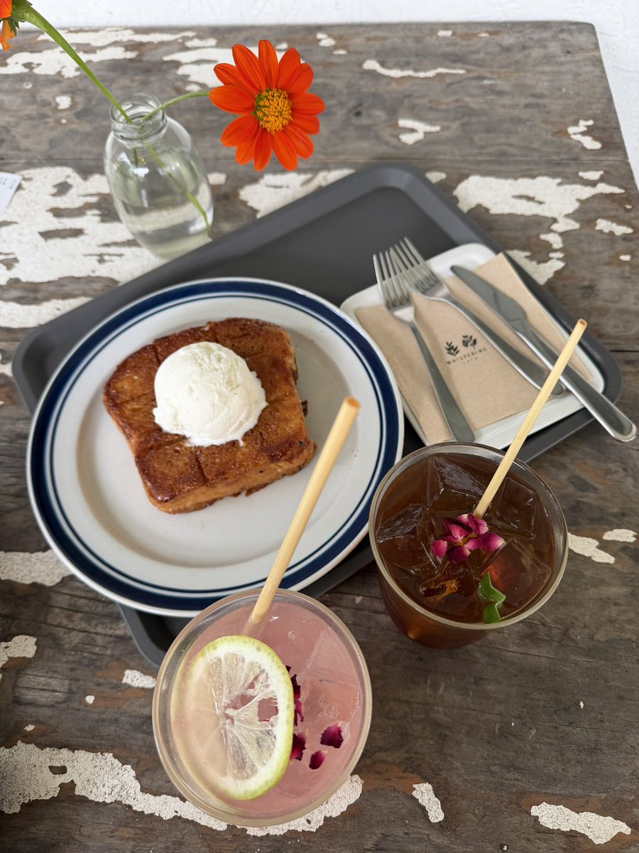 ailc2011's tweet image. 🍃🏕️🌳🌵