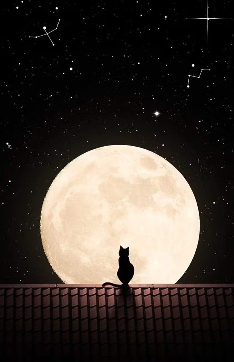 พระจันทร์ยังอยู่ที่เดิม 
แต่แค่บางเวลาเราอาจ " มองไม่เห็น "
ก็เหมือนบางคนที่ไม่ได้เจอกัน 
แต่ยังคง " อยู่ในใจ " เสมอ 
#ชีวิตที่เงียบเหงากับหัวใจที่แข็งแกร่ง🩵