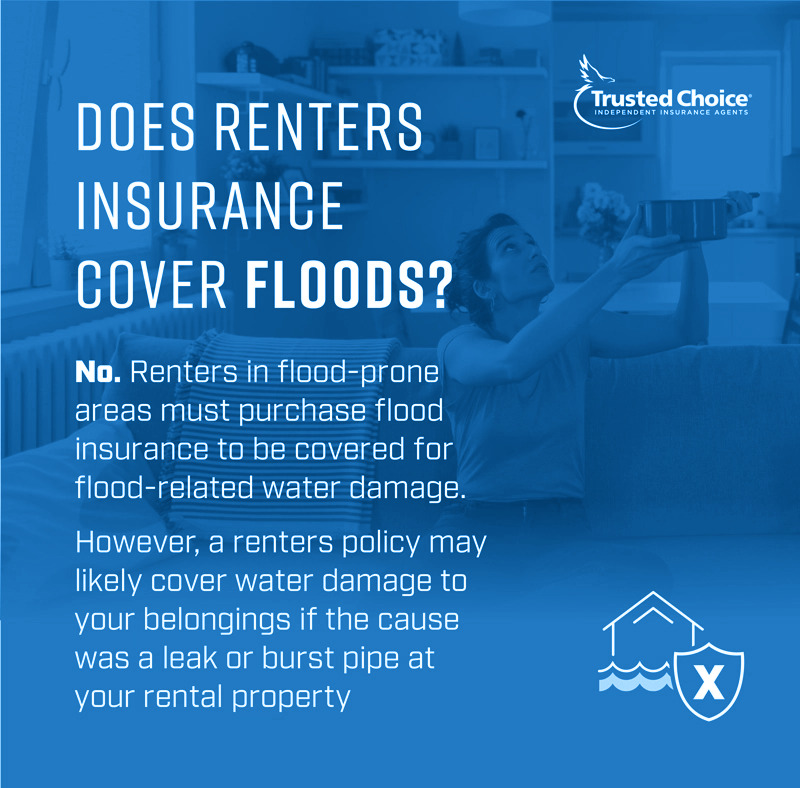 Fuller Insurance tweet media