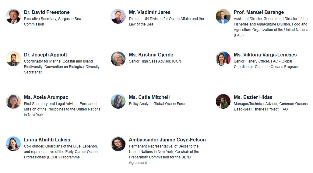 PlymouthMarine's tweet image. #COP30: Join online, in 1 hour! We have an incredible panel for &apos;Aligning the Ocean-Climate-Biodiversity Agenda to Maximize the Impact of #OceanBasedSolutions to #ClimateChange&apos;

This is the #VirtualOceanPavilion High-Level Closing Event - register online: us02web.zoom.us/rest/webinar/r…