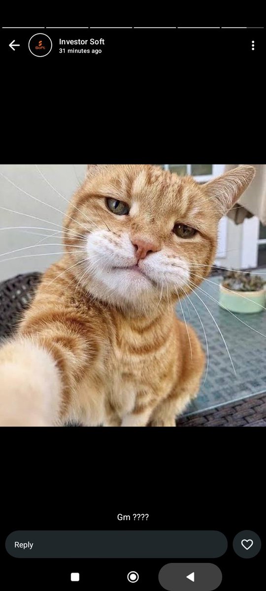 Gojo_web3's tweet image. I love privacy and @Arcium

What about you?