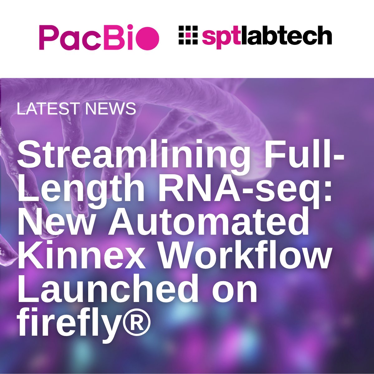 SPTLabtech's tweet image. We&apos;ve teamed up with @PacBio to automate the Kinnex™ full-length RNA-seq workflow on our firefly® platform.

Automation that accelerates discovery - and bring population-scale long-read RNA-Seq within reach.
go.sptlabtech.com/3LPtiSH