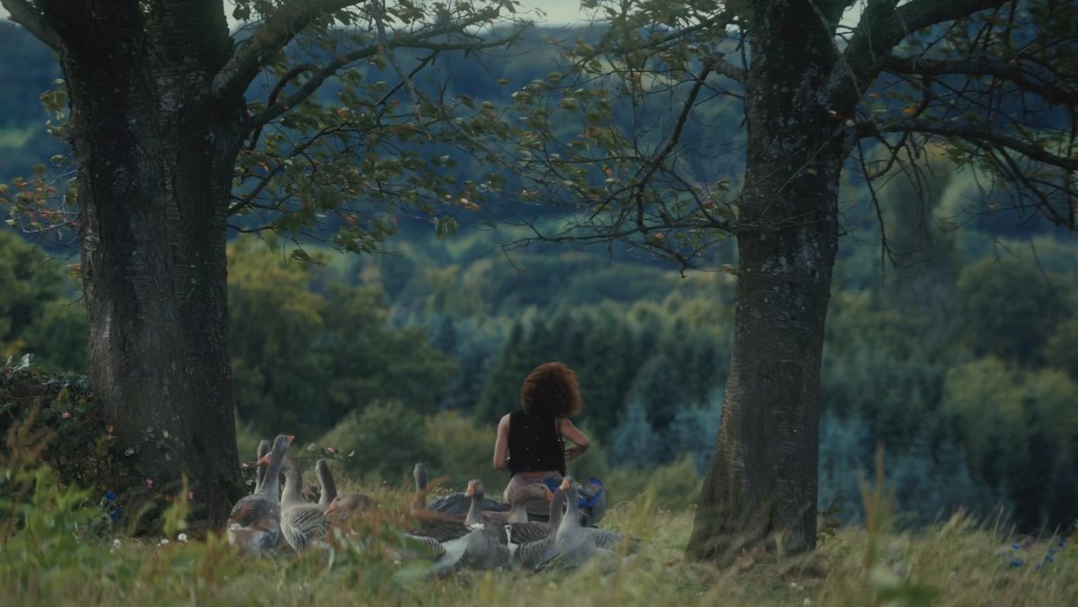 westsidesorry's tweet image. THE PARALLEL