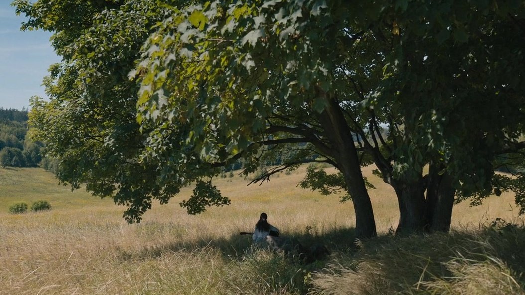 westsidesorry's tweet image. THE PARALLEL