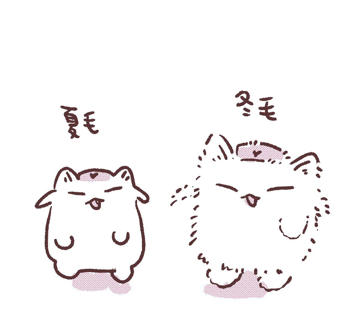 sana_natori's tweet image. #名取がおはようする時絵がついてくる