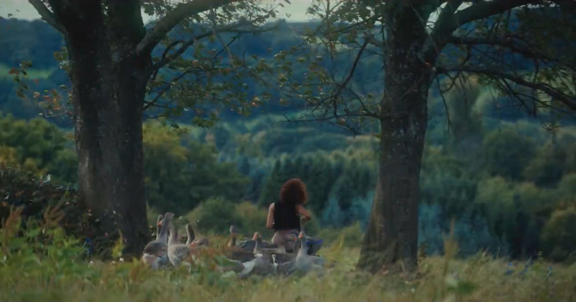 lenoredovethnkr's tweet image. “As I reach the Meadow, I slip under the fence and pause to catch my breath and drink in the sight of Lenore Dove perched on her favorite rock. The sunlight picks up the hint of red in her hair as she bends over an ancient piano accordion. ”