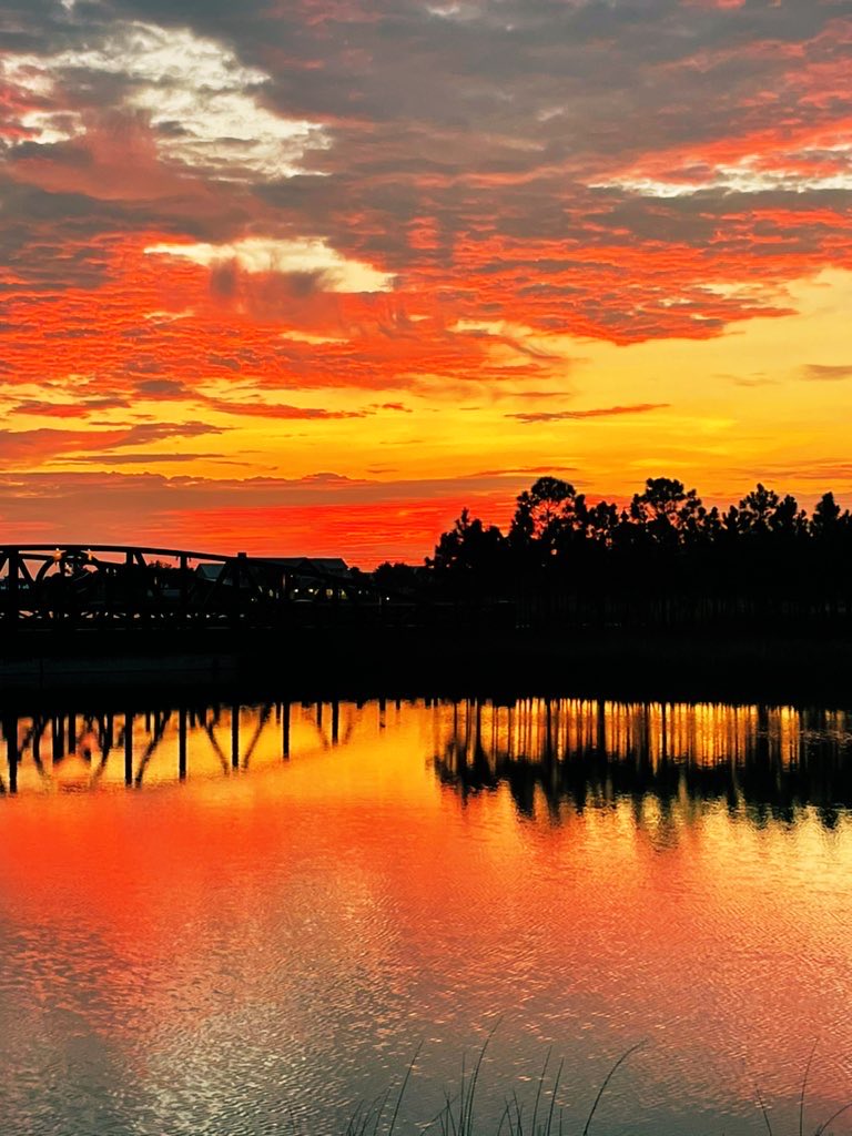 Josh Coleman tweet media