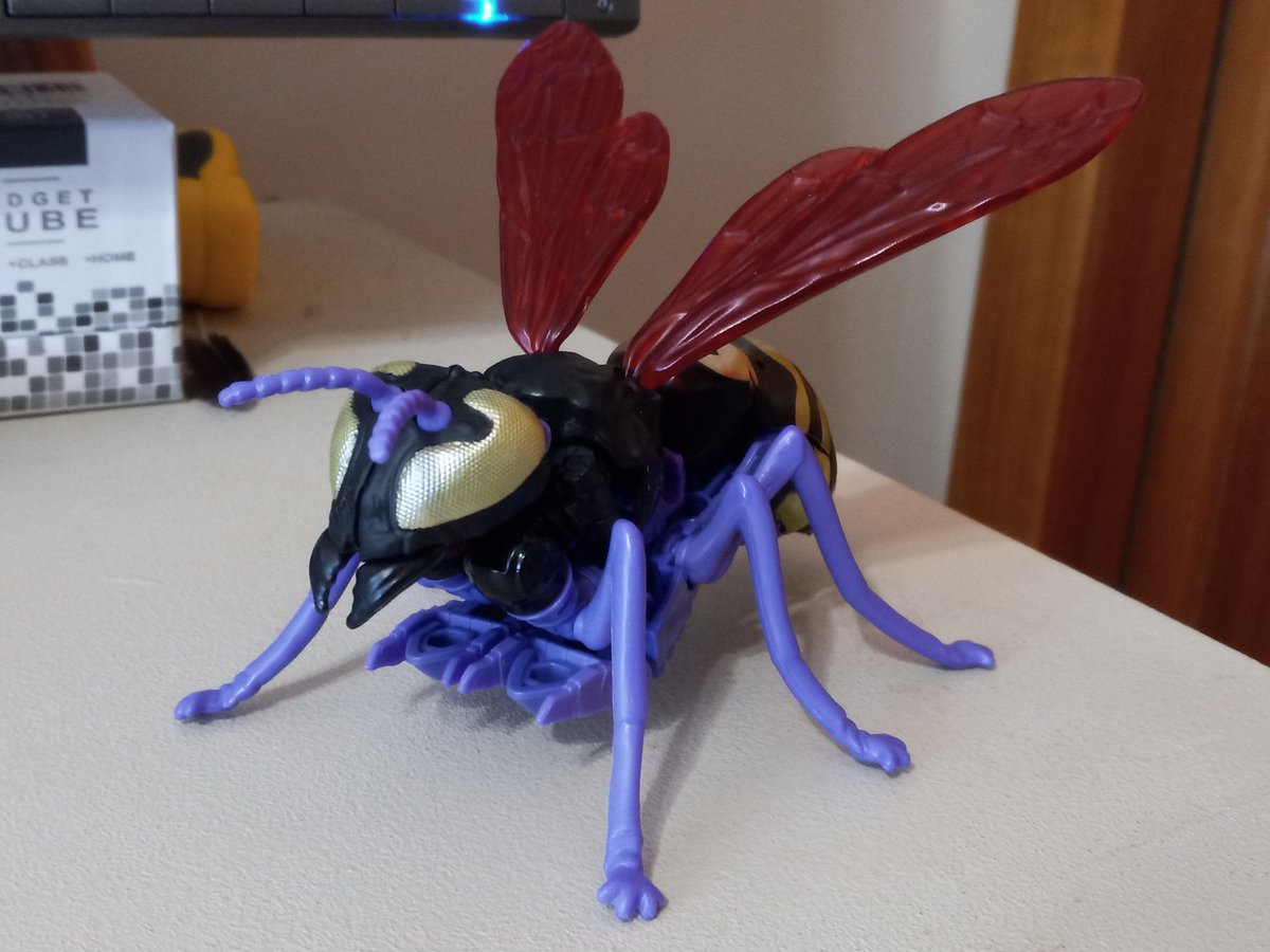 KBarnNow's tweet image. GOOD MORNING MINTO!!!

My desk friend today is Skywasp!

Because it&apos;s Waspinator in Skywarp&apos;s colours. Is he Waspinator? Is he beast-mode Skywarp? Is he a member of the Waruder Swarm from Diaclone named Paralyzer? Yes.

(I like to pretend he&apos;s edgy Waspinator.)