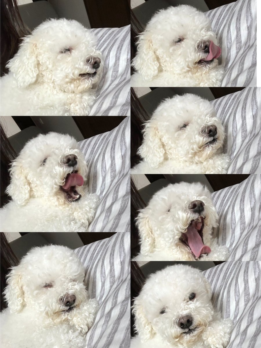 Jyoon_chae's tweet image. 251116 🫧

#ICHILLIN #아이칠린 #사랑스럽지윤 #JIYOON #지윤