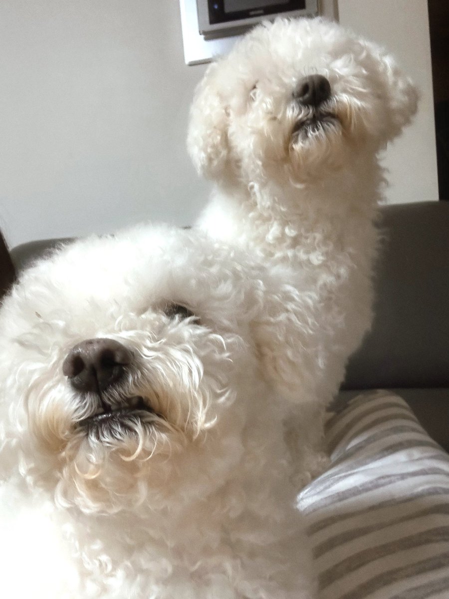 Jyoon_chae's tweet image. 251116 🫧

#ICHILLIN #아이칠린 #사랑스럽지윤 #JIYOON #지윤