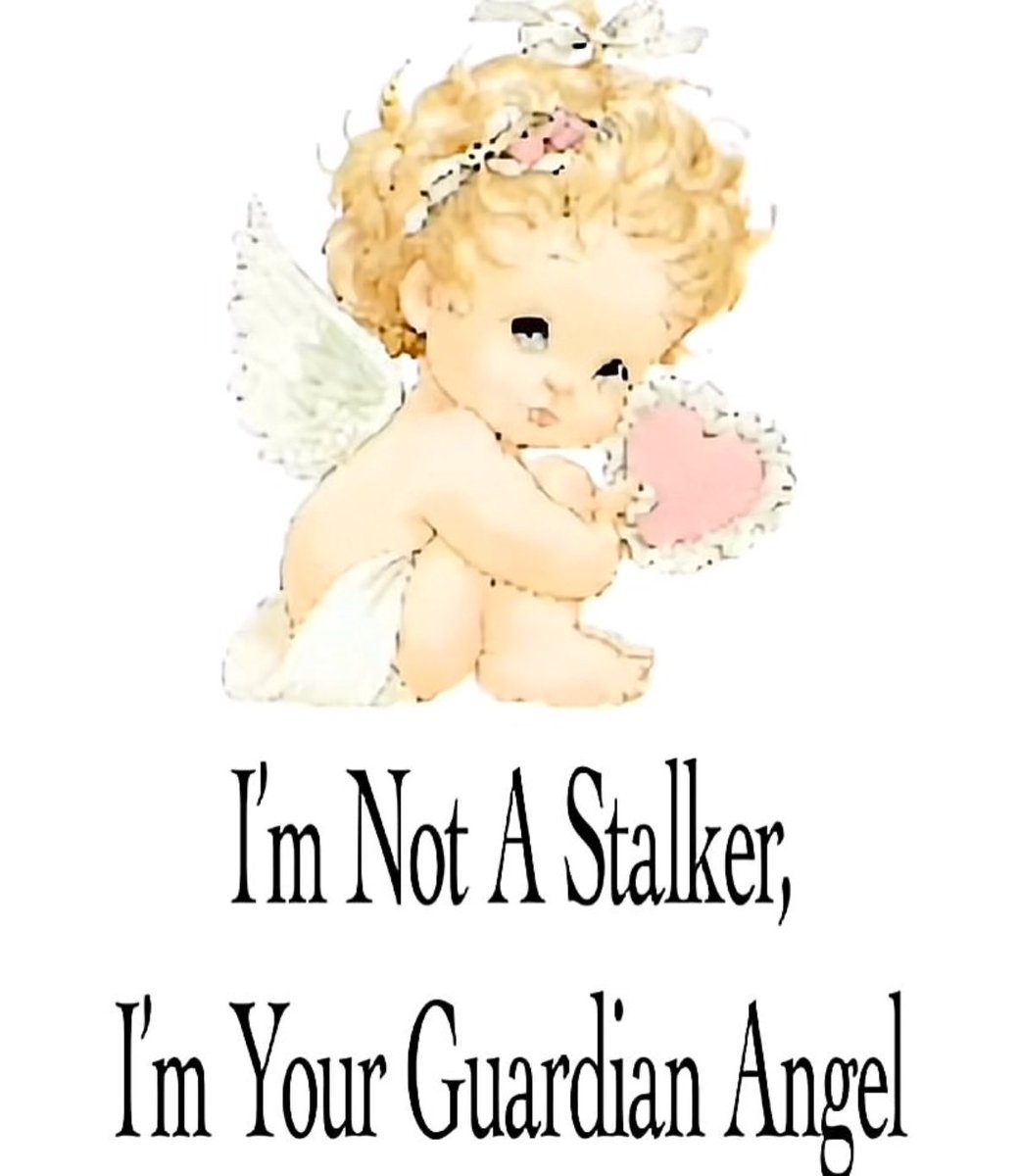 cdoll's tweet image. 