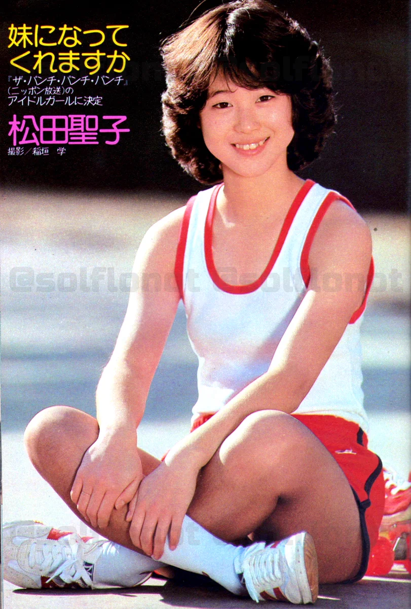 松田圭子 作品集 3冊セット はな、うらない on X: 
