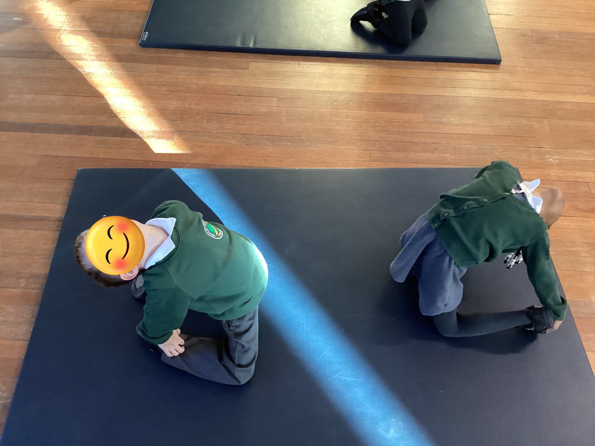 BentleyWestWS2's tweet photo. Reception really enjoyed Gymnastics working on movements involving low and high shapes. #BWPS #BWPE https://t.co/vyWPiOxhdX