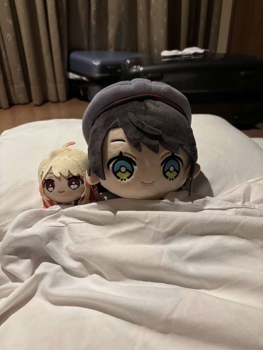 SpQjig's tweet photo. 親子仲良く睡眠中
#推し活　#ホロライブ　#うちのホロフレ https://t.co/Mj9VrV5zeF