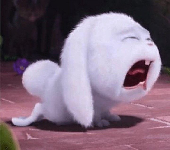 ͏ ͏ ͏⋆ ͏ ͏͏ ͏ ͏𝐆͟𝐖͟𑁤𝐍͟𝐃͟𝐎͟𝐋͟𝐘͟𝐍. tweet media