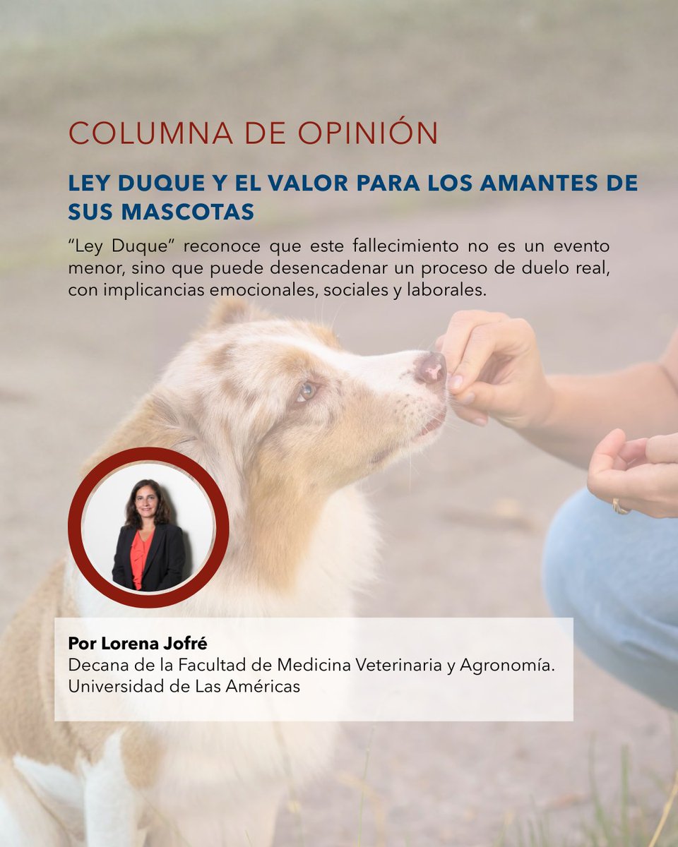 La Decana de la Facultad de Medicina Veterinaria y Agronomía UDLA, Lorena Jofré, publicó en La Tercera una columna sobre la “Ley Duque”, que reconoce el derecho a un día de permiso laboral tras la pérdida de una mascota. 🐾

📖 litoralpress.cl/sitio/MediosOn…

#LeyDuque #LaTercera