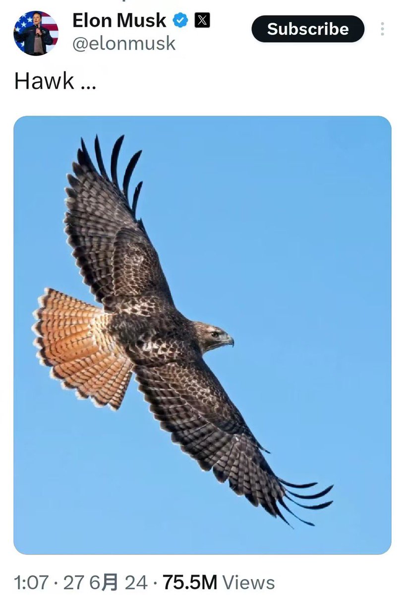 With the launch of Grok 4.1, Musk cleverly tweeted that $Hawk was soaring in the sky. This is the second time Musk has tweeted about $Hawk since June 27th last year. Less than a day after this explosive news came out, it's telling you that at this moment when $Hawk is at its