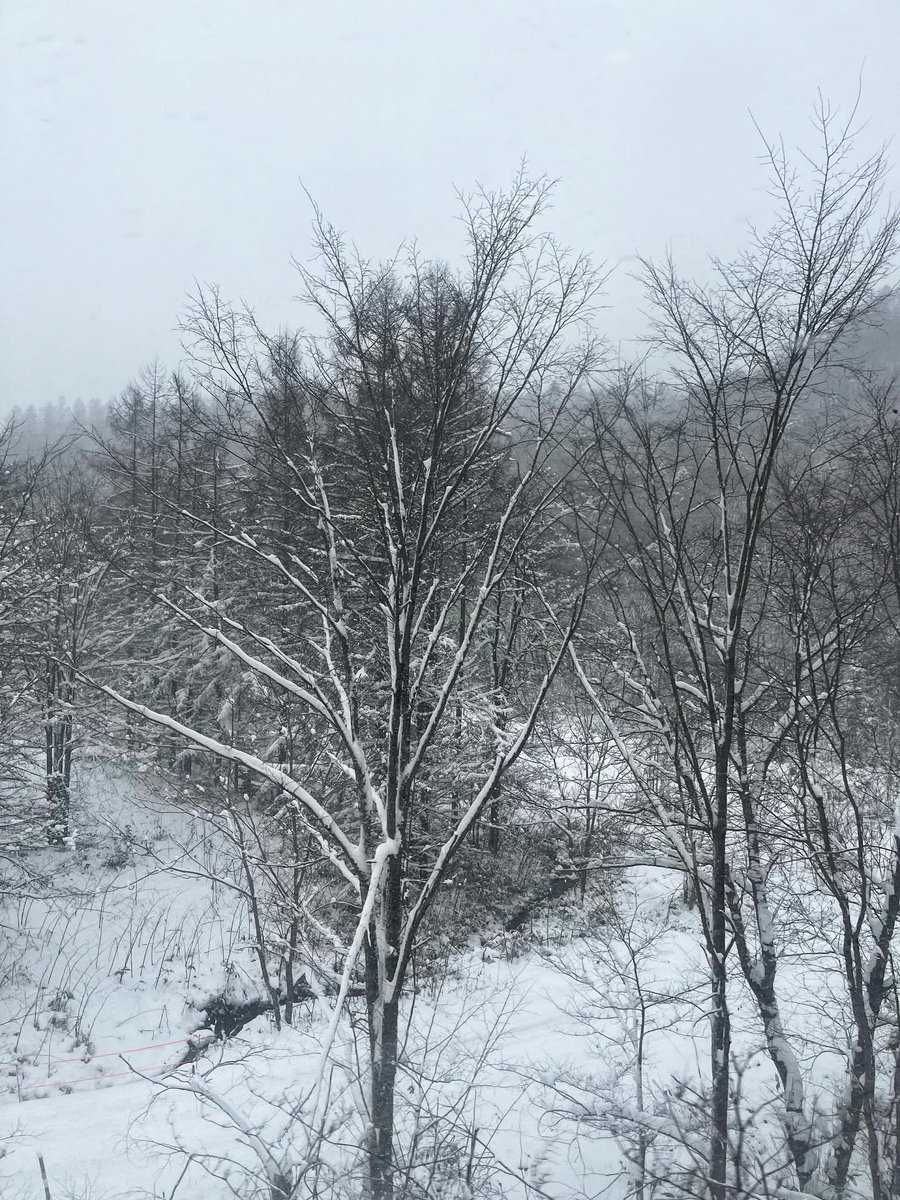 tmimimt's tweet image. 帯広現場。熱意ある施工者とする打ち合わせは楽しい。今回の試みを「グリッドの肩外しだね」とは構造の金田さんの弁。雪のない札幌を出て道中雪まみれで帯広は晴れて雪はないが霜柱がたっていて、夜戻ったら札幌は雪景色でスケートリンクみたいになっていて忙しい。